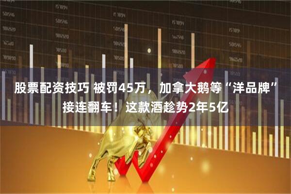 股票配资技巧 被罚45万，加拿大鹅等“洋品牌”接连翻车！这款酒趁势2年5亿