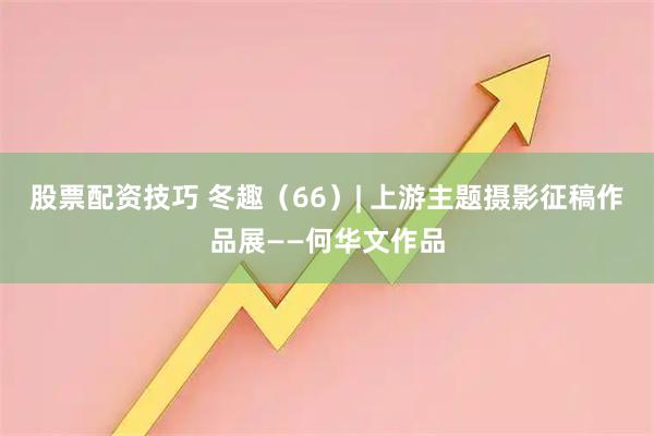 股票配资技巧 冬趣（66）| 上游主题摄影征稿作品展——何华文作品