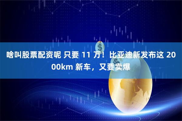 啥叫股票配资呢 只要 11 万！比亚迪新发布这 2000km 新车，又要卖爆
